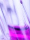 Our safe and effective immune system activating treatment is now being trialled on leukaemia patients.