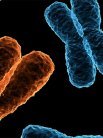 Southampton is one of the world centres for pioneering work in genetic science.