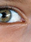 Southampton scientist’s discovery in the 1960’s forms the platform for a significant area of scientific knowledge in biochemistry and the science of the eye.