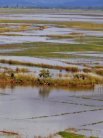 Research into current environmental and climate-related issues is working towards alleviating their impact on agricultural populations.